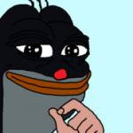 syflacisko Profile Picture