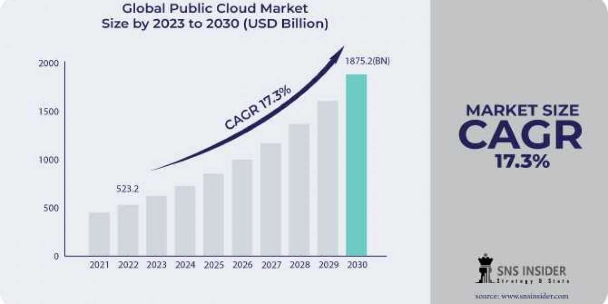 Public Cloud market : A Comprehensive Study of the Industry