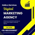 hoboeservices Profile Picture