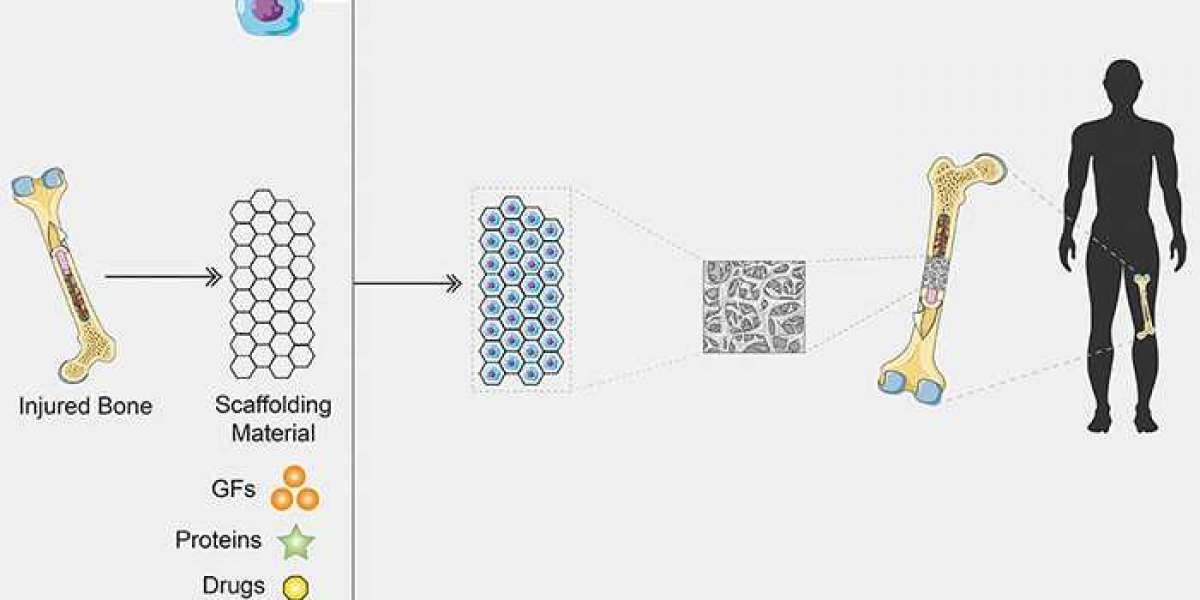 Organoid Construct Kit to Advance Drug Discovery