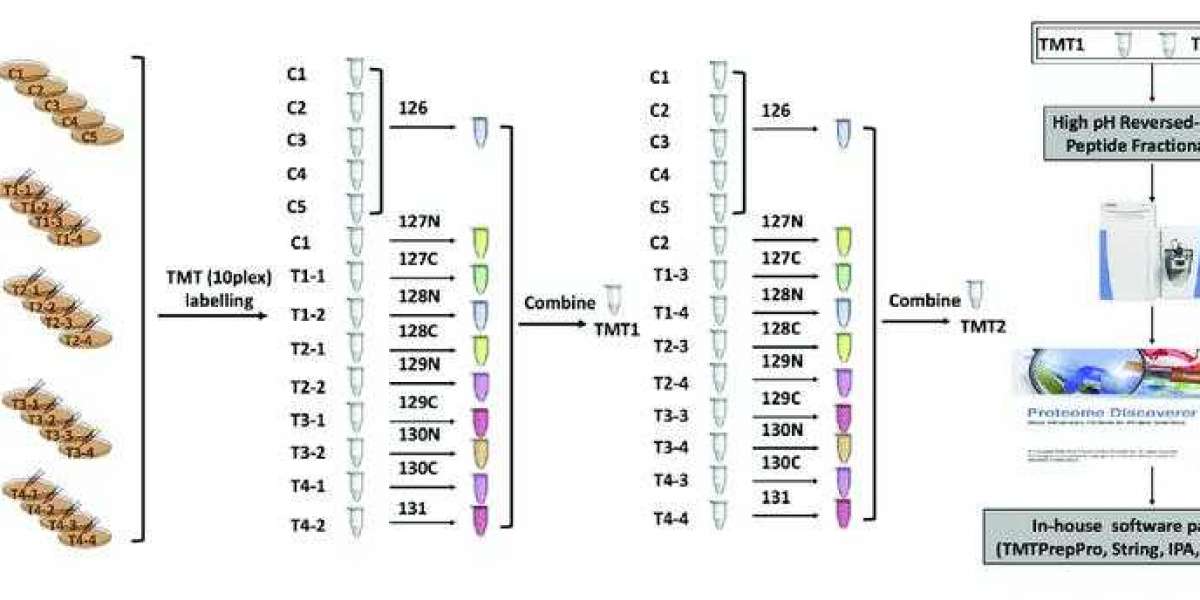 Mass Spectrometry Based Proteomics