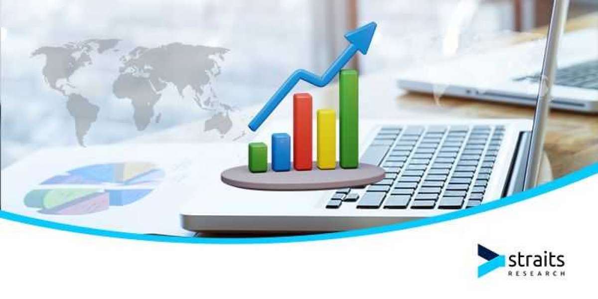 Thermal Ceramics Market Key Drivers, Challenges, and Future Outlook