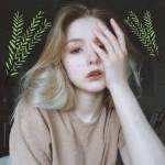 brandonpowell260 Profile Picture