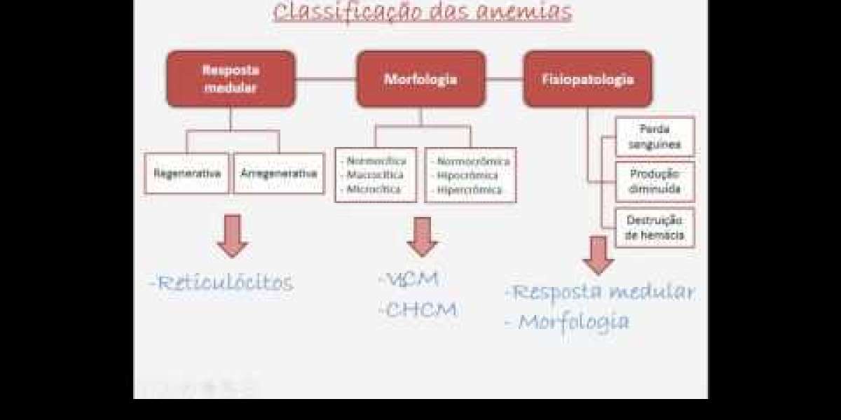 Diagnóstico Preciso: Como o Exame Histopatológico Pode Salvar a Vida do Seu Pet