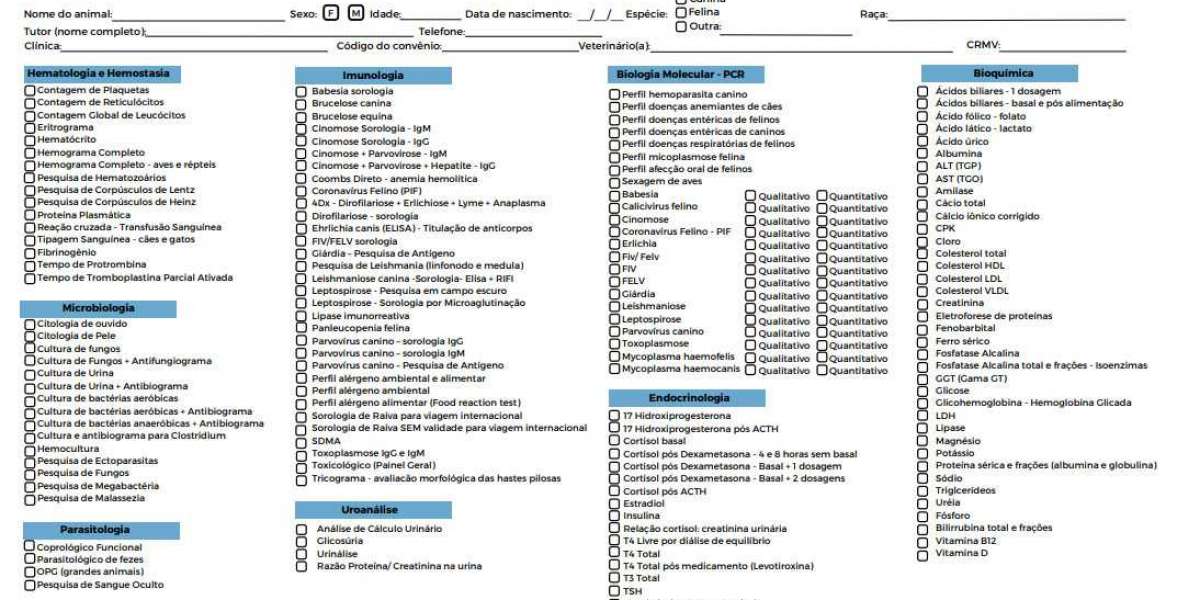 Entenda Como a Citologia Dermatológica Pode Transformar o Diagnóstico de Doenças de Pele em Seus Pets