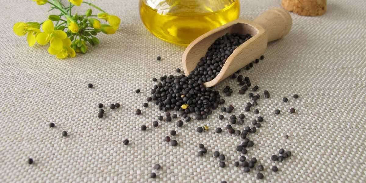 Australia Canola Seeds Market: Growth, Sustainability, and Economic Impact