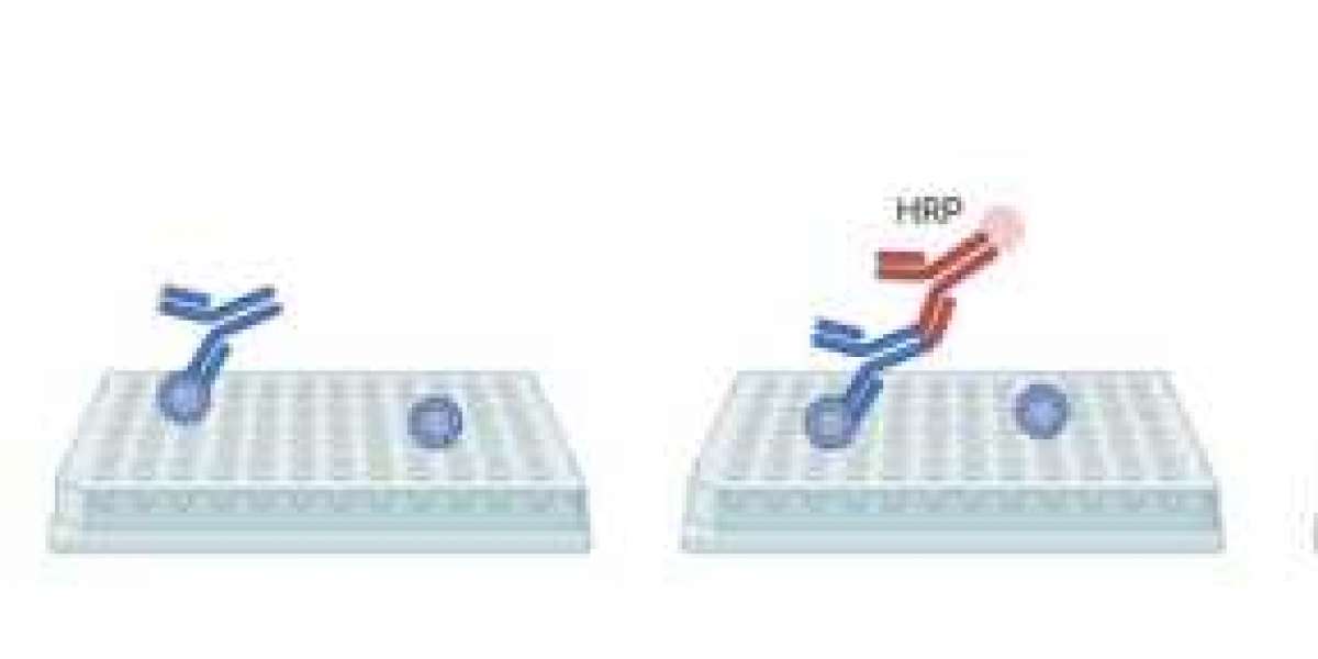 High-Performance HPV IgG ELISA Kit for Accurate and Reliable HPV Antibody Detection