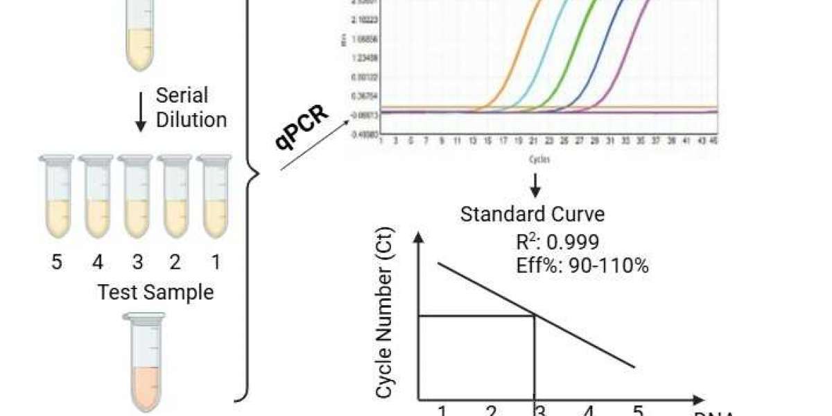 Enhanced Viral Nucleic Acid Residue Assay Kits for Biopharmaceutical Manufacturing