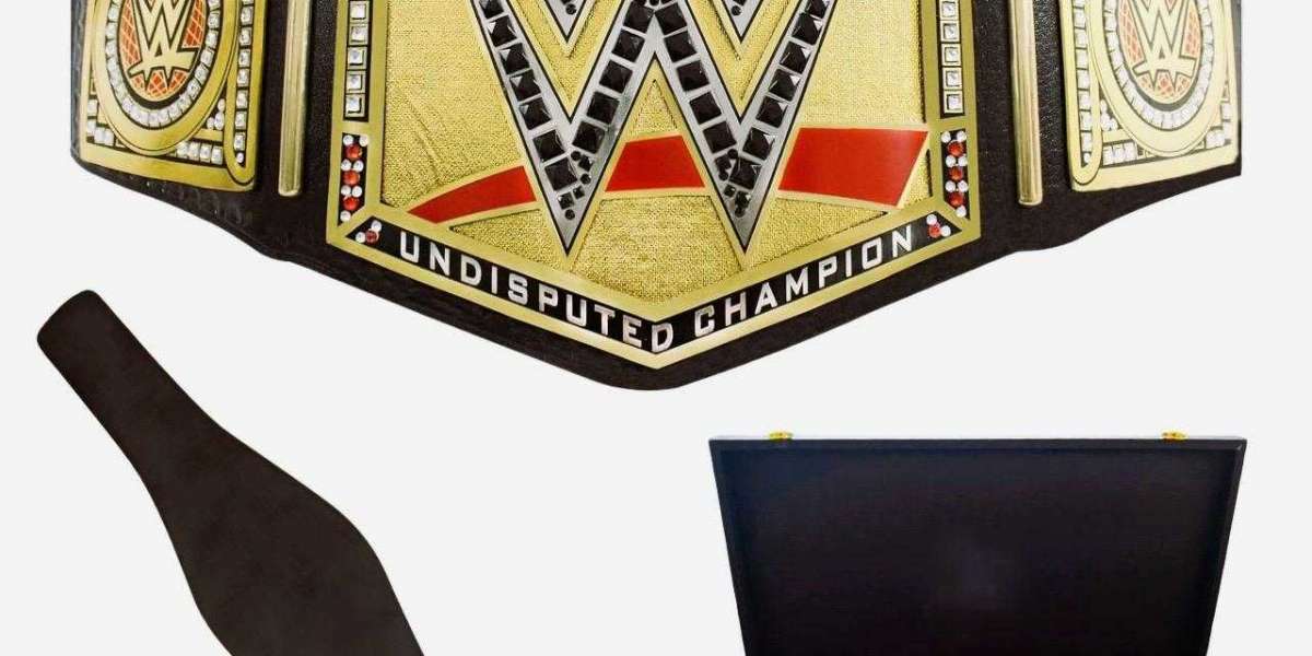 The Perfect  Gift WWE Title Belt