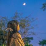 roknnagd Profile Picture