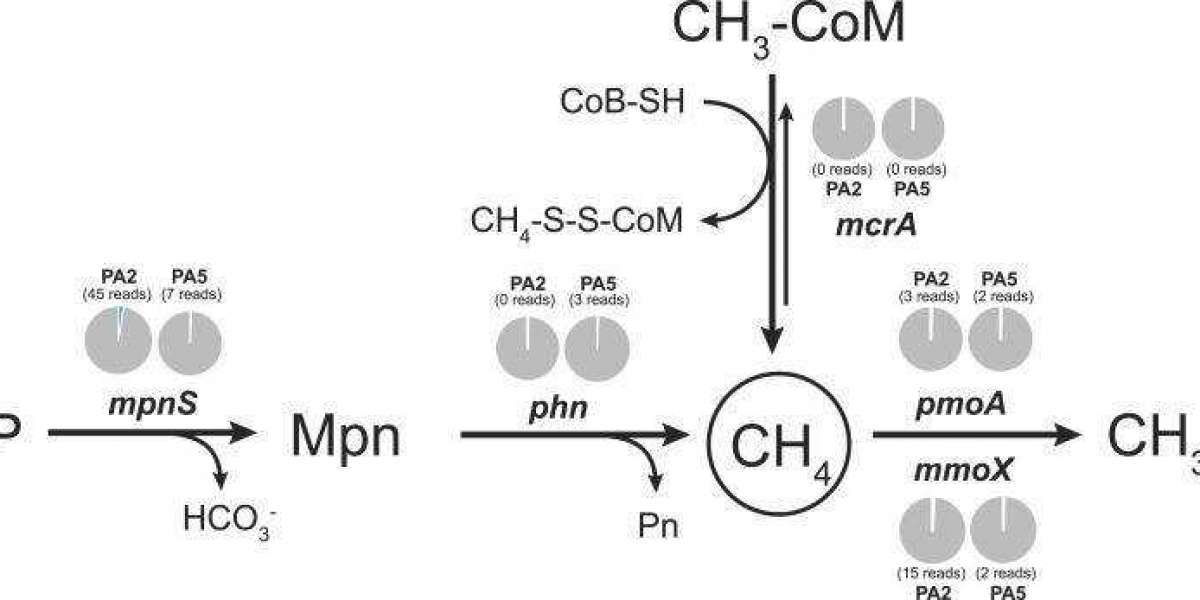 Exploring the Methane Cycling through Metagenomic Sequencing