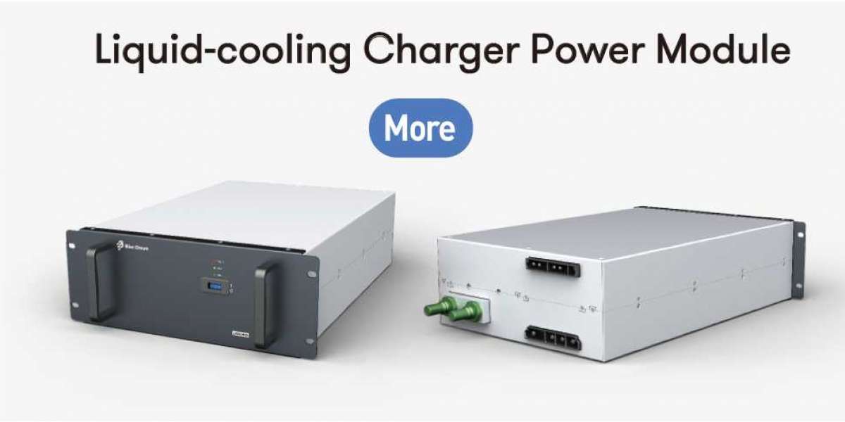 Supply Chain Analysis of USA EV Power Module Market