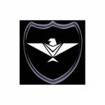 Eagle Security Services Corporation Profile Picture