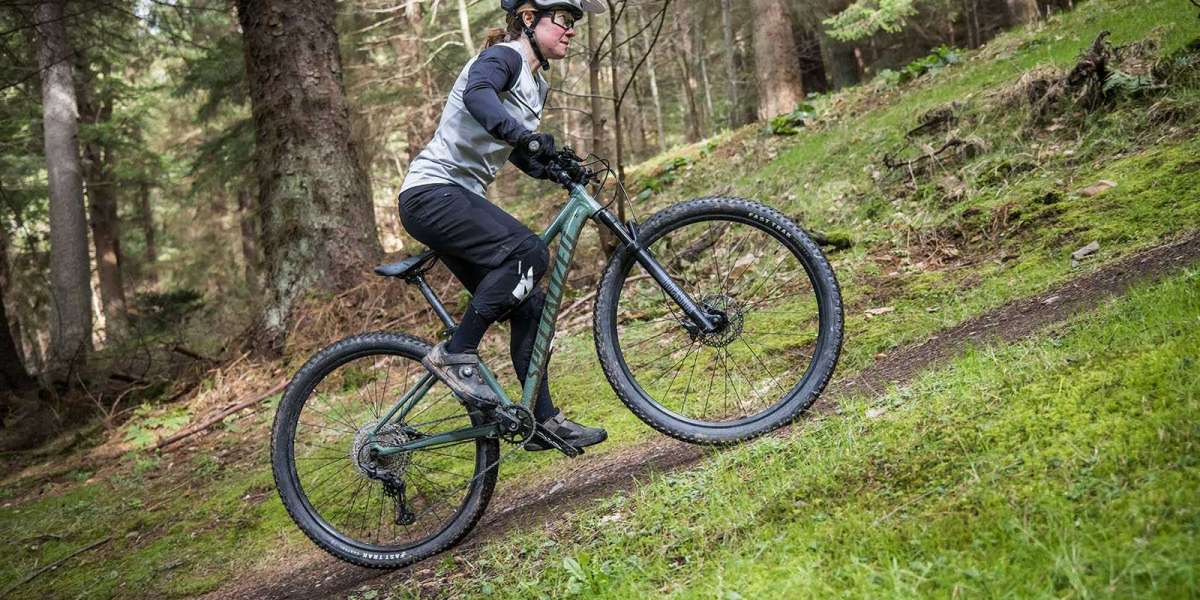 Electric Segment Growth in USA Bicycle Market