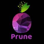Prune Digital Solutions Pvt Ltd Profile Picture