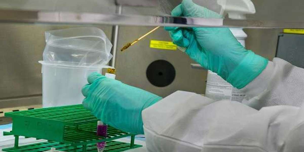 Unveiling the Structural Mysteries of Biomolecules