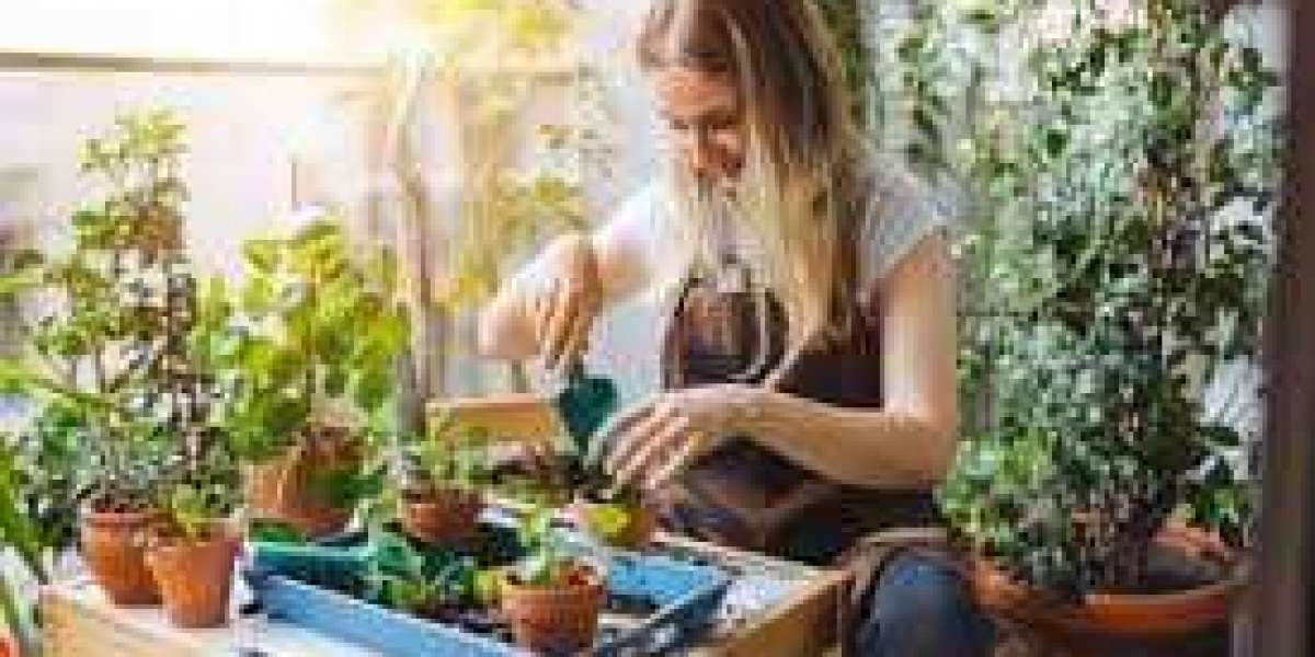 Experts Highlight Growth Opportunities in the US Home Gardening & Planting Market by 2030