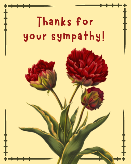 Free Sympathy Thank You Cards – Digital Group eCards