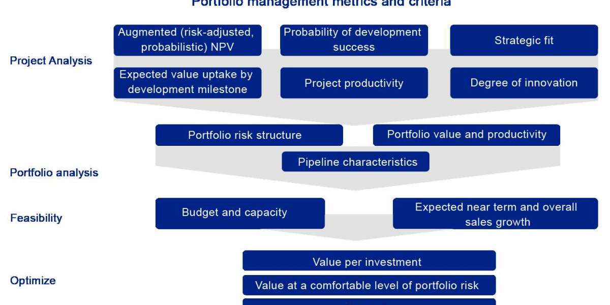 Key Drivers of Portfolio Strategy in Pharmaceutical Innovation