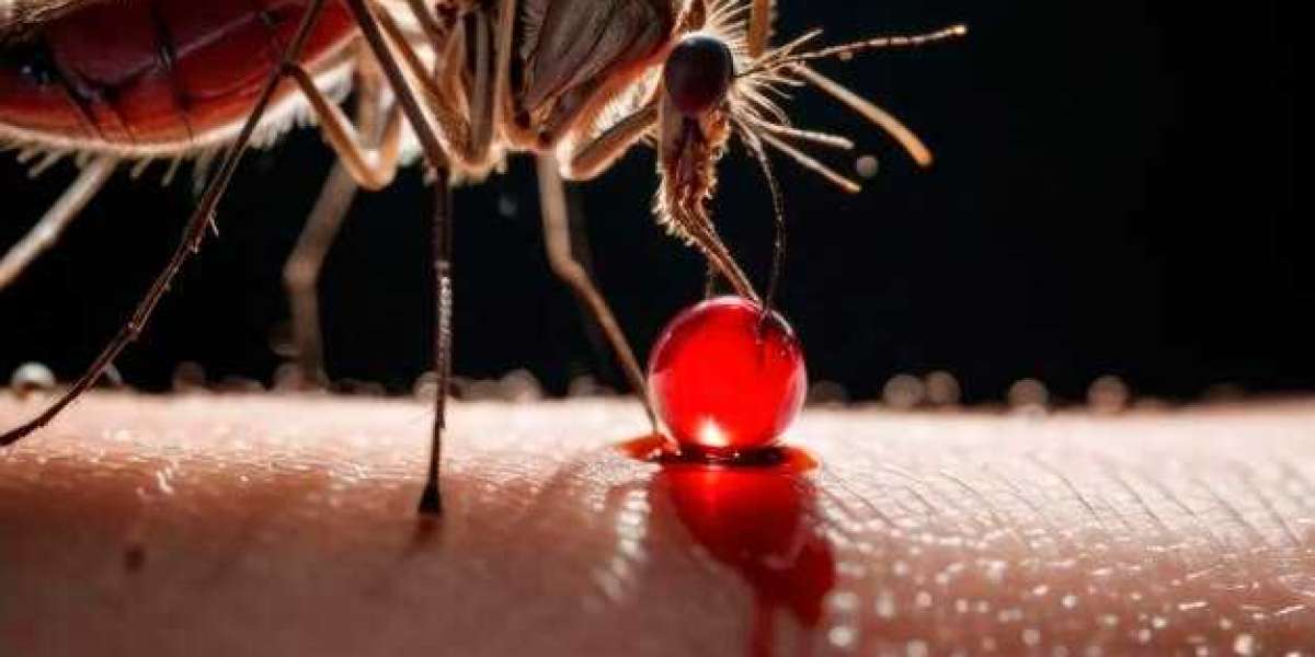 P. vivax Malaria Paradigm Shift: Precision Medicine and Market Evolution