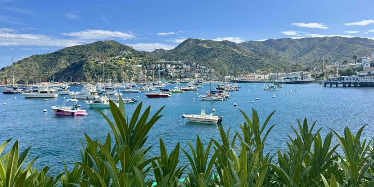 Budget-Friendly Catalina Island Getaways: Affordable Packages Explained