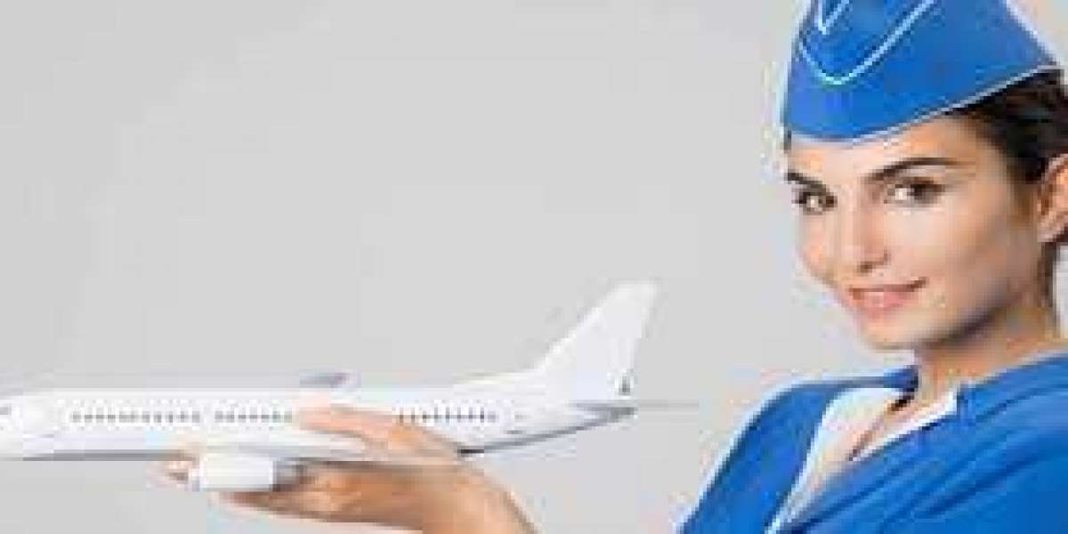 Priceline® USA™ Contact Numbers: Full Step-by-Step Guide
