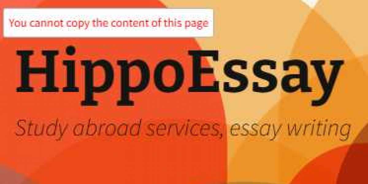 How HippoEssay Supports Social Work in University Education