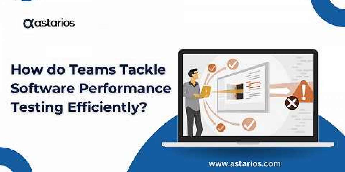 How do Teams Tackle Software Performance Testing Efficiently?