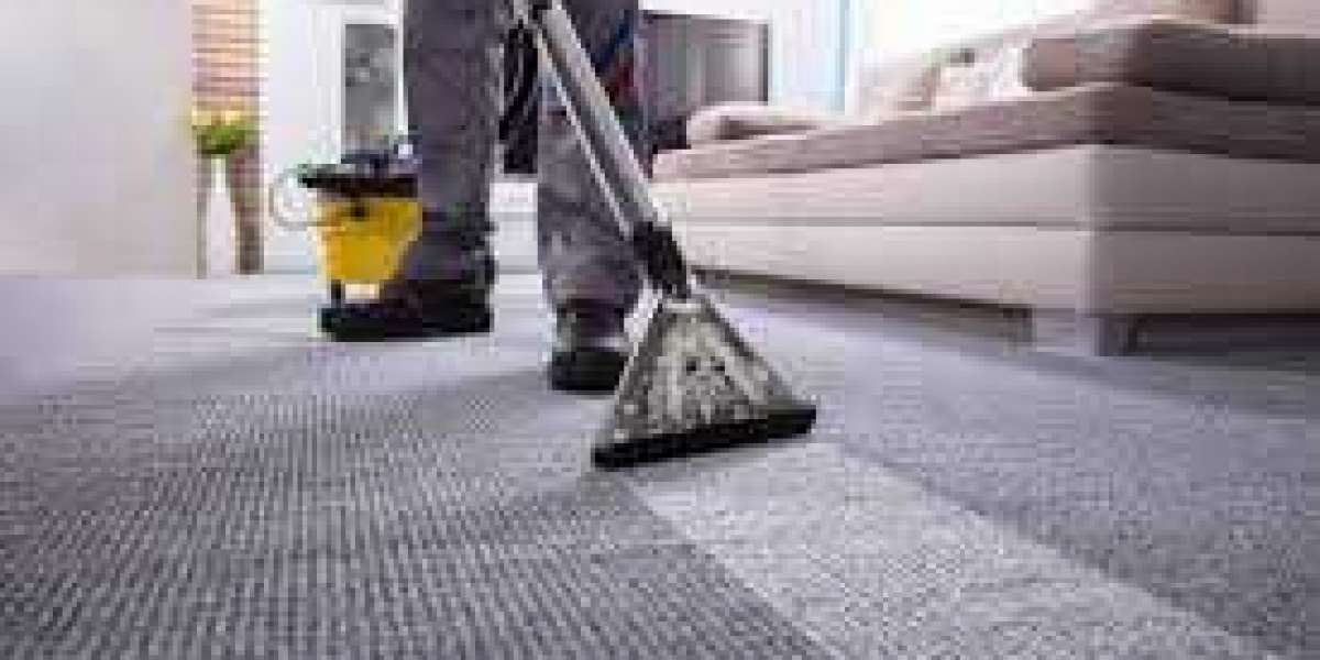 Why Every Home Needs the Expertise of Professional Carpet Cleaning