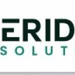 Veridian Solutions Profile Picture