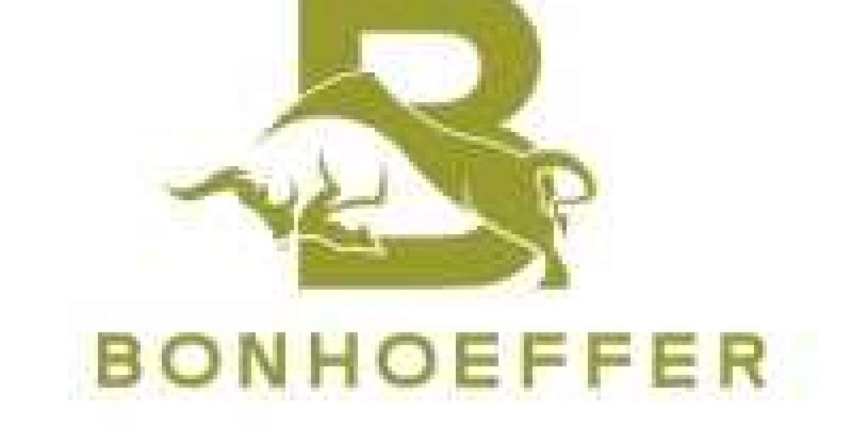 Gasoline Generators & Inverters by Bonhoeffer – Global Power Solutions