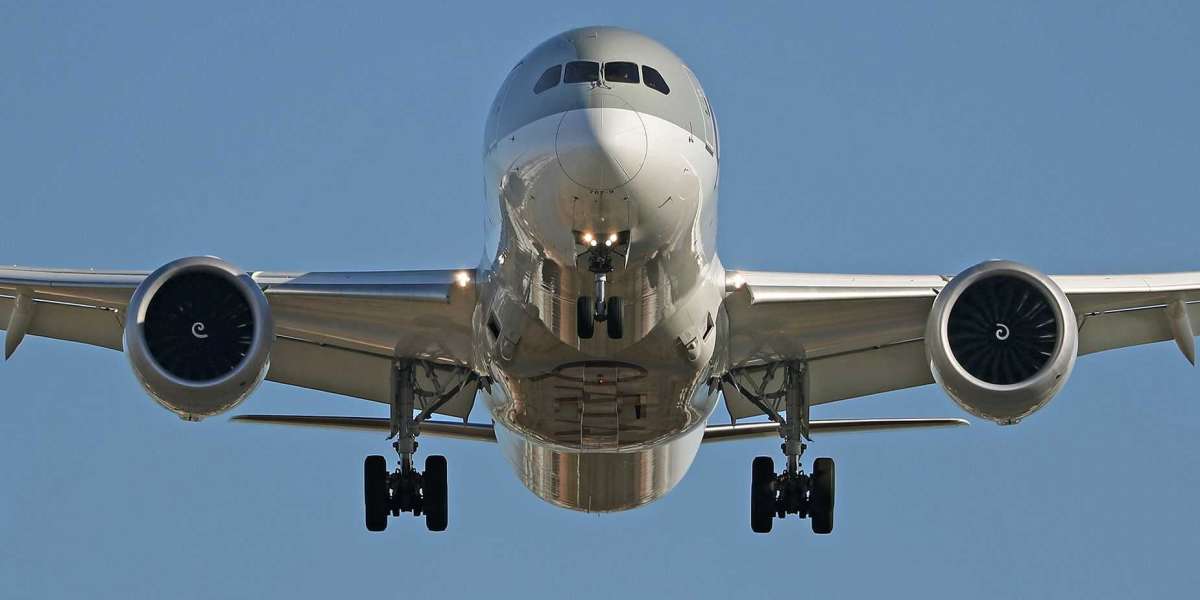 Del-ta®️ Airlines™ USA Customer Service Numbers - In Full Detail Guide