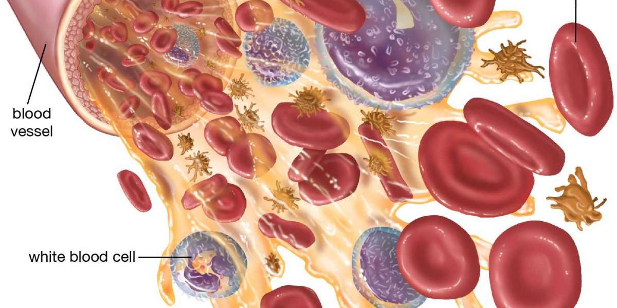 Fruits and Veggies That Help Keep Your White Blood Cells Happy