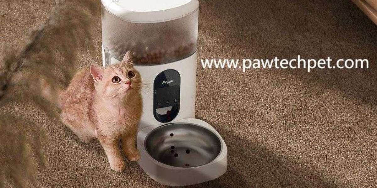 PawTechPet Auto Feeder for Healthy Feeding
