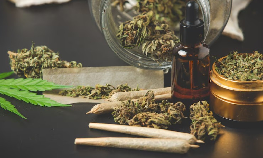 Top Your Go-To Local Cannabis Company in Albany: Dark Horse Dispensary