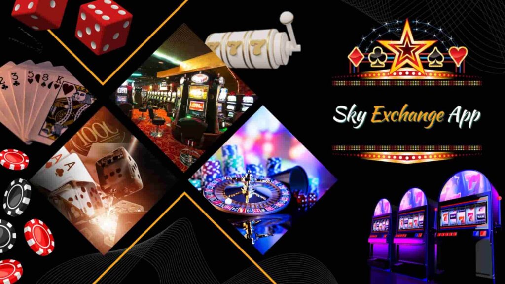 Sky Exchange App Free Download for iOS and Android