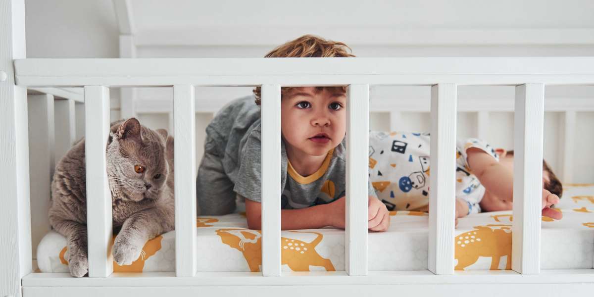 15 Surprising Facts About Best Cot