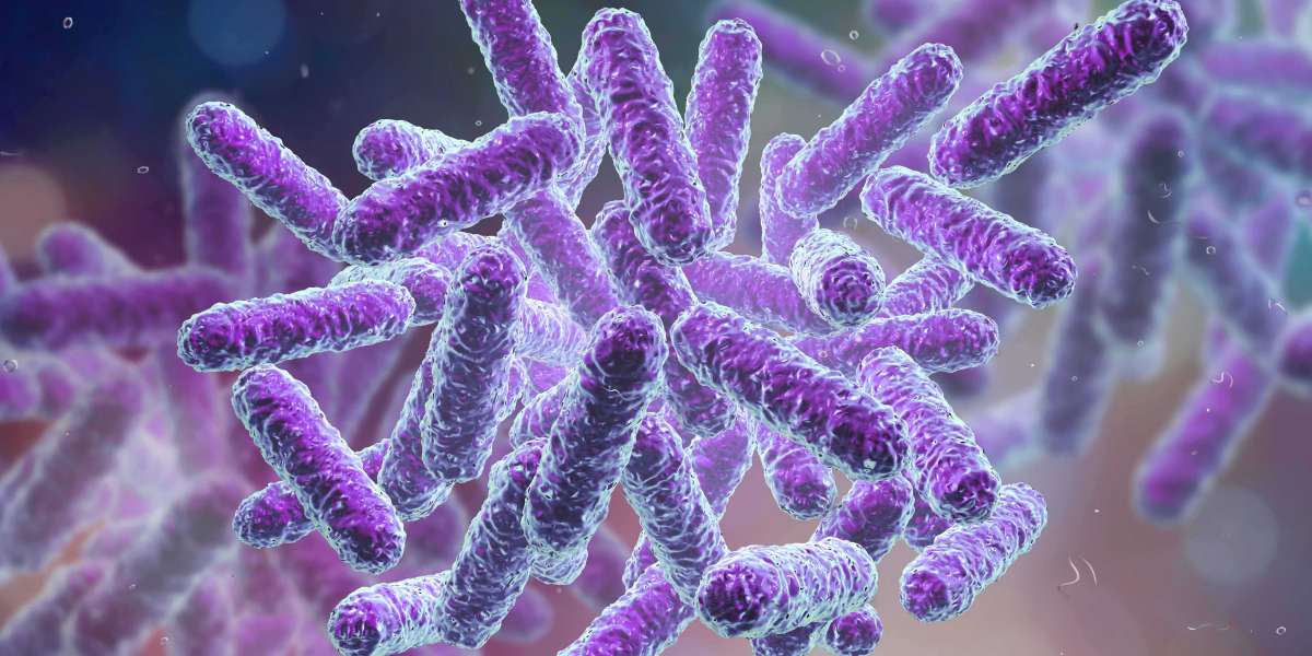 Why Are Some Bacteria Beneficial While Others Are Harmful?