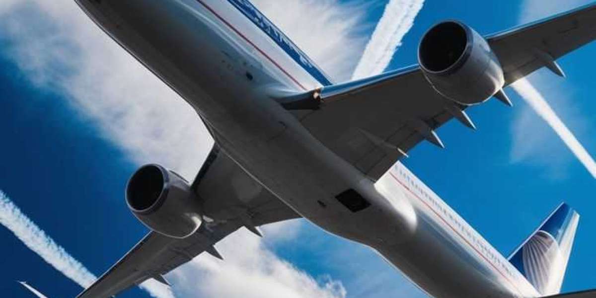 What is the Best Airline to Fly to California