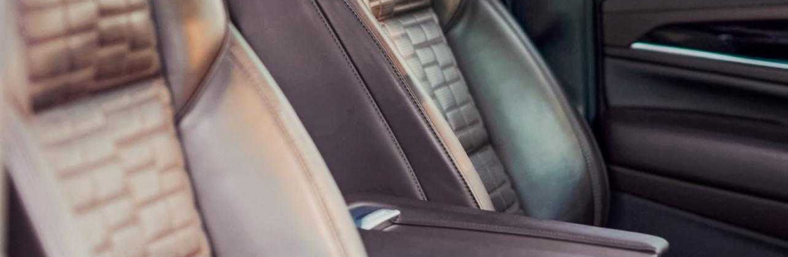 buffalo limo taxi Cover Image