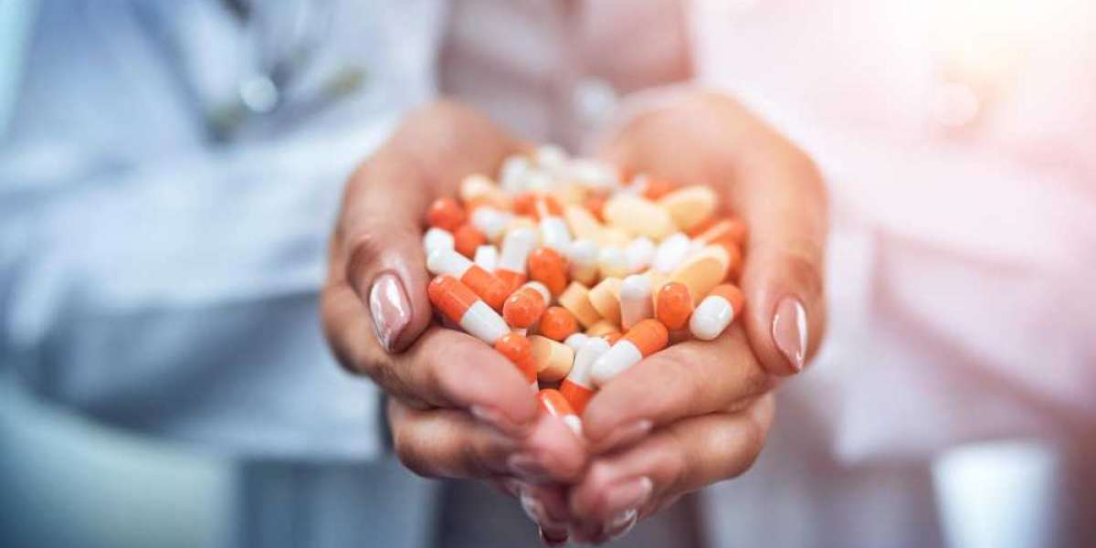 Pharmaceutical Exporters in Roorkee: India’s Growing Hub for Pharma Exports