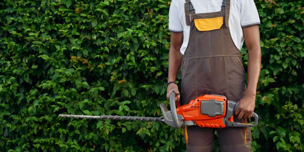 Tree Cutting and Stump Grinding Services in Maryland Everything You Should Know