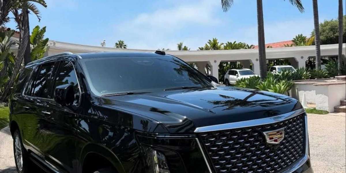Blue Mountains Limo Service – Luxury & Punctual Rides