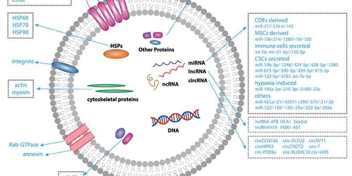 Purified Exosomes for Drug Delivery and Therapeutic Research