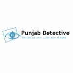 Punjab Detective Profile Picture