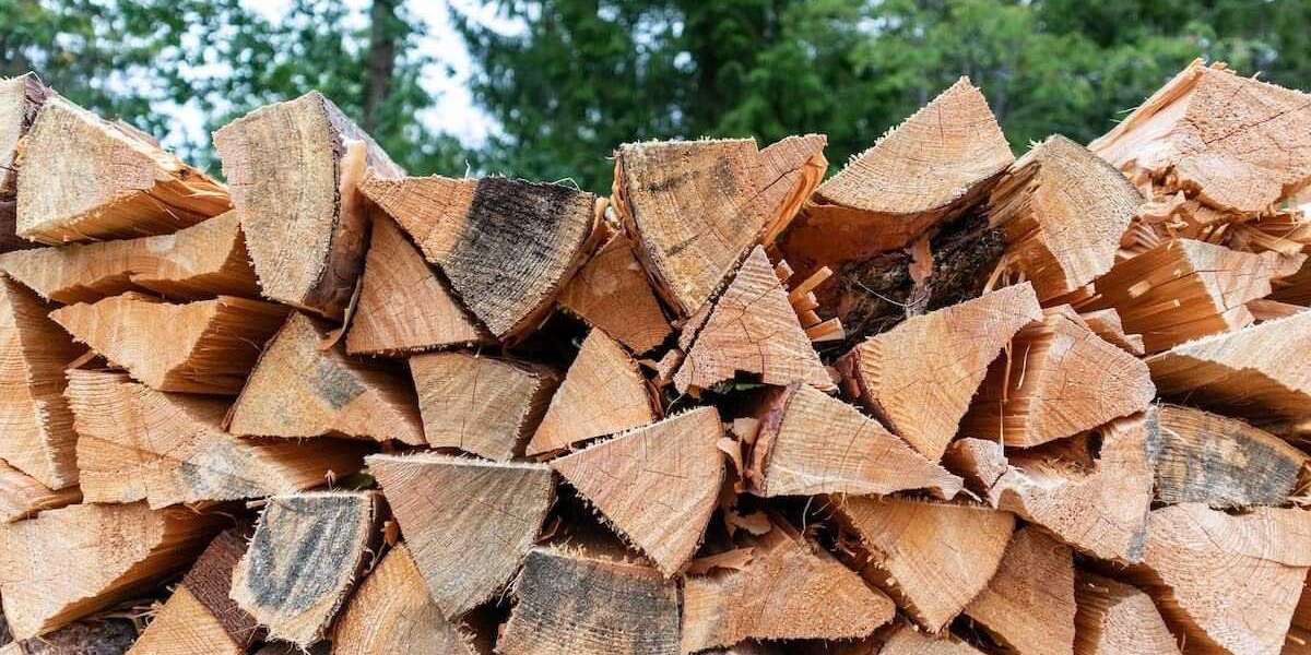 Kiln-Dried vs Seasoned Firewood: Choosing the Best Firewood for Campfires and Heating