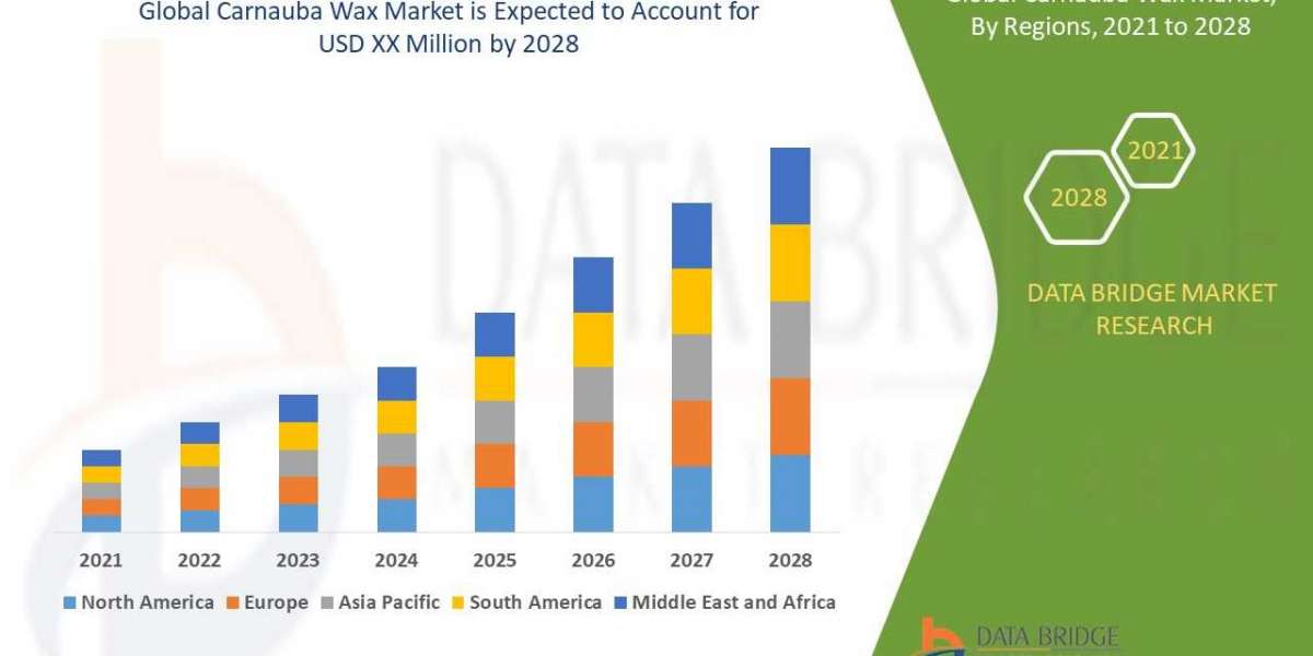Natural Ingredient Demand Fuels Growth in Global Carnauba Wax Market