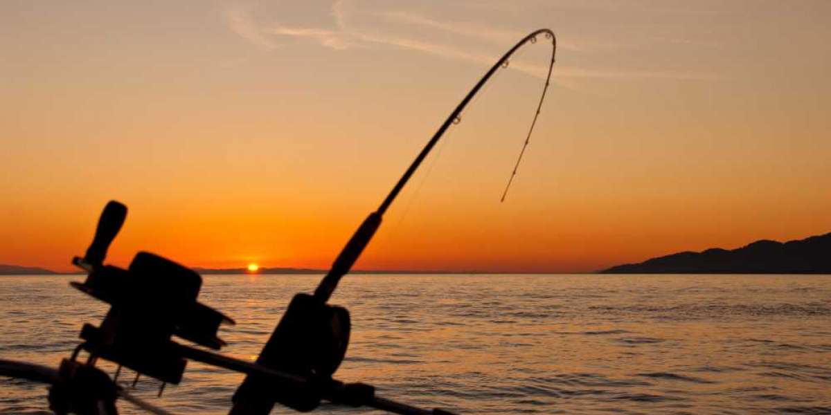 Exploring Key Largo Fishing Charters