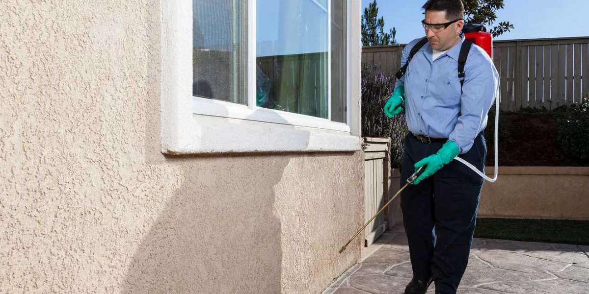 The Hidden Battle Against Ants in Staten Island Homes