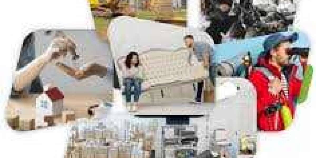 Article Picture